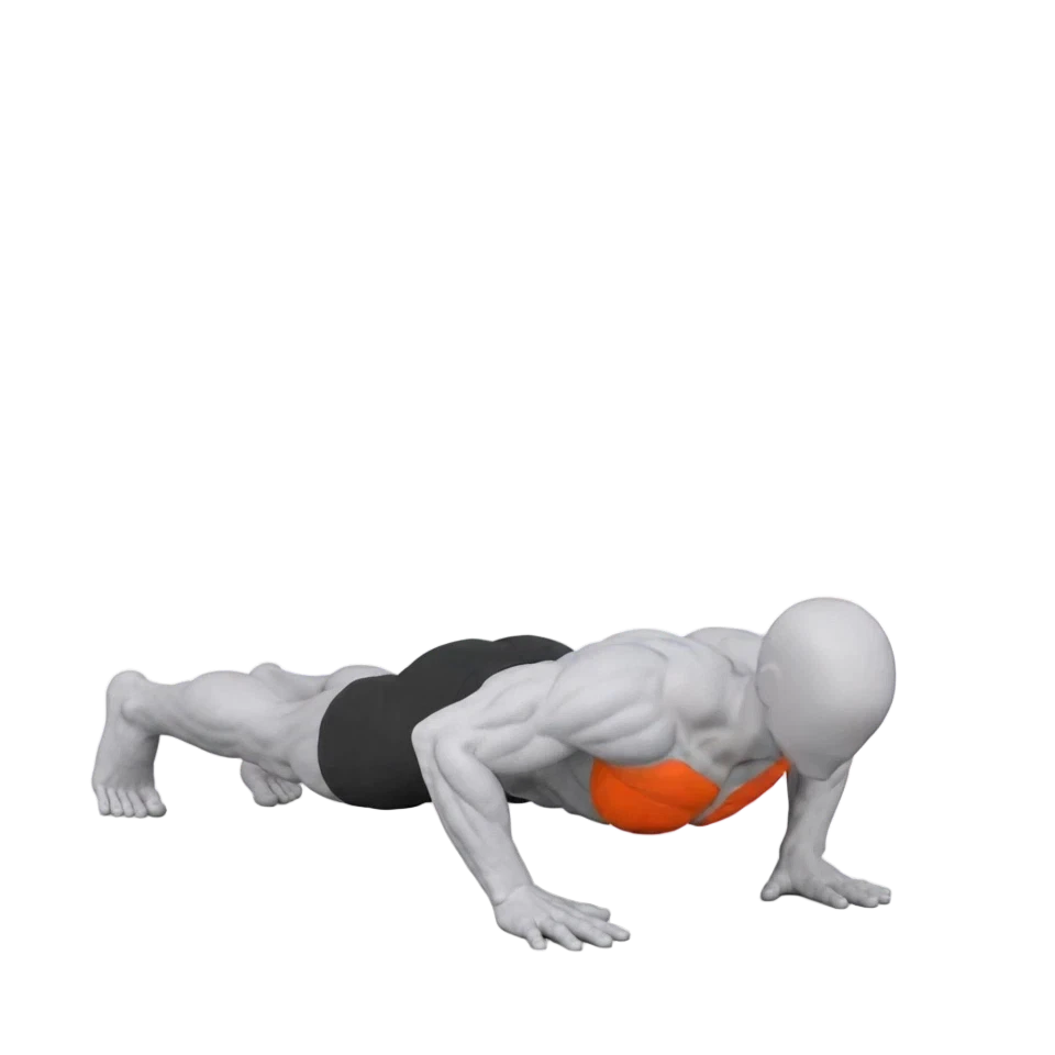 Animación de Push-Up en Nuvana
